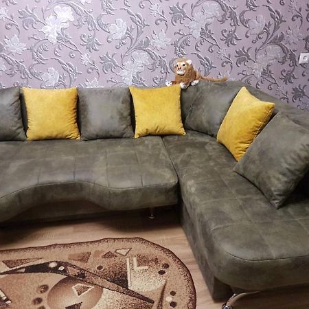 2Х Комнатная С Ремонтом В Центре.Renovated, Center Apartman Khmelʼnytsʼkyy Kültér fotó